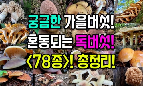 内痔流血不止用药几天能好-【内痔出血用药】内痔流血不止用药几天能好 - 内痔流血不止用药网