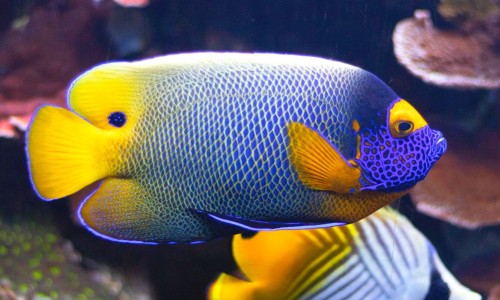 内痔流血不止用药能好吗-【内痔出血用药】内痔流血不止用药几天能好 - 内痔流血不止用药网